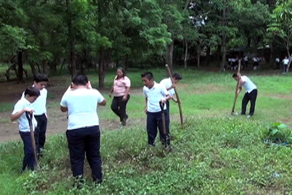 Estudiantes del Instituto Nacional de Ticuantepe realizan jornada de reforestación