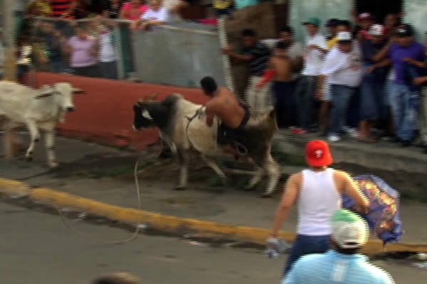 Sueltan toros en las calles del barrio San José Oriental