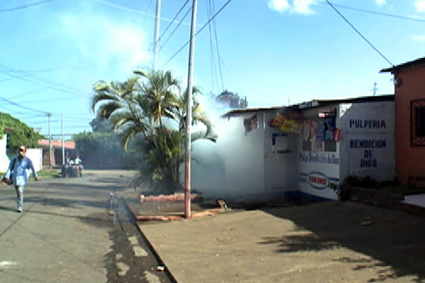 Ministerio de Salud continúa las jornadas de fumigación en Managua
