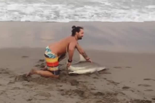 Bañistas sacan un tiburón del agua para tomarse fotos