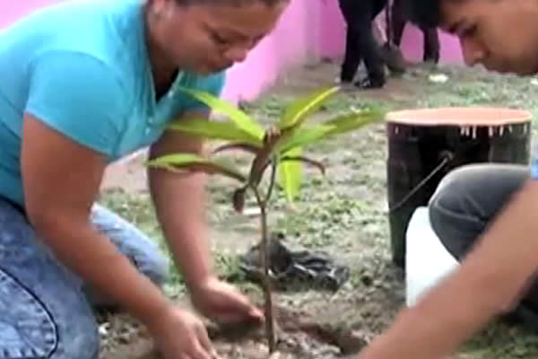 Matagalpa continúa la Campaña “Yo Adopto un Árbol por #AMORANICARAGUA”