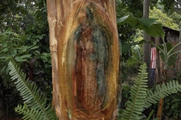 Habitantes de Pueblo Nuevo aseguran ver imagen de la Virgen de Guadalupe en un árbol