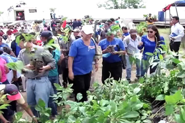 Masaya se une a la Cruzada Nacional de Reforestación “Por Amor a Nicaragua”