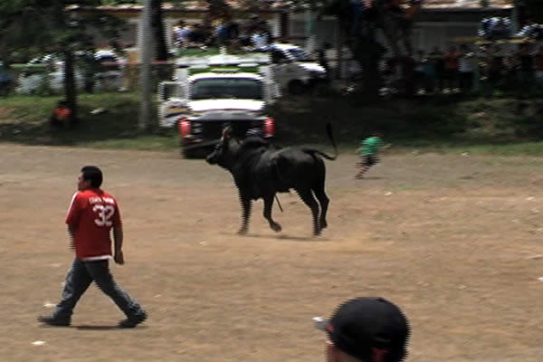 Realizan corridas de Toros en “San Judas” como preámbulo a Fiestas de “Minguito”
