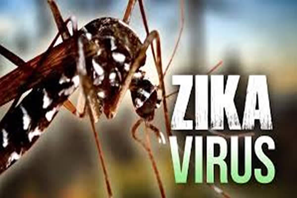  Un epidemiólgo advierte sobre riesgo de expansión del zika por los Juegos Olímpicos