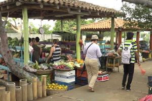 Capitalinos disfrutaron Feria de las Frutas, Cosechas, Alimentos, Dulces, Mermeladas y Bebidas