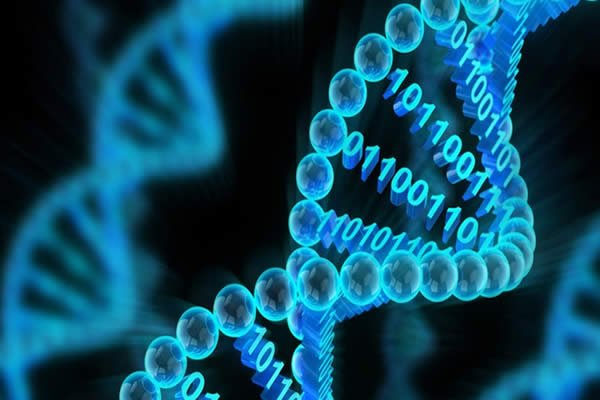 Microsoft pretende crear un almacenamiento digital en ADN