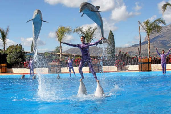 Prohíben espectáculos y terapias con delfines en México