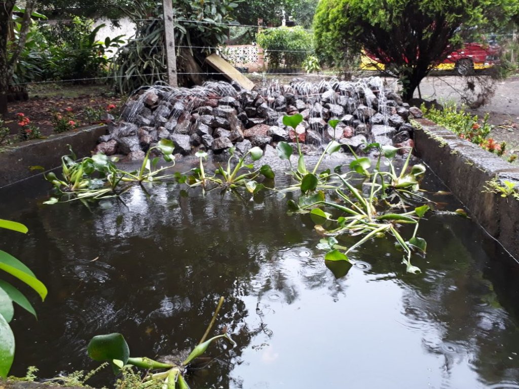 Jinotepe cuenta con un hermoso parque natural Viva Nicaragua Canal 13