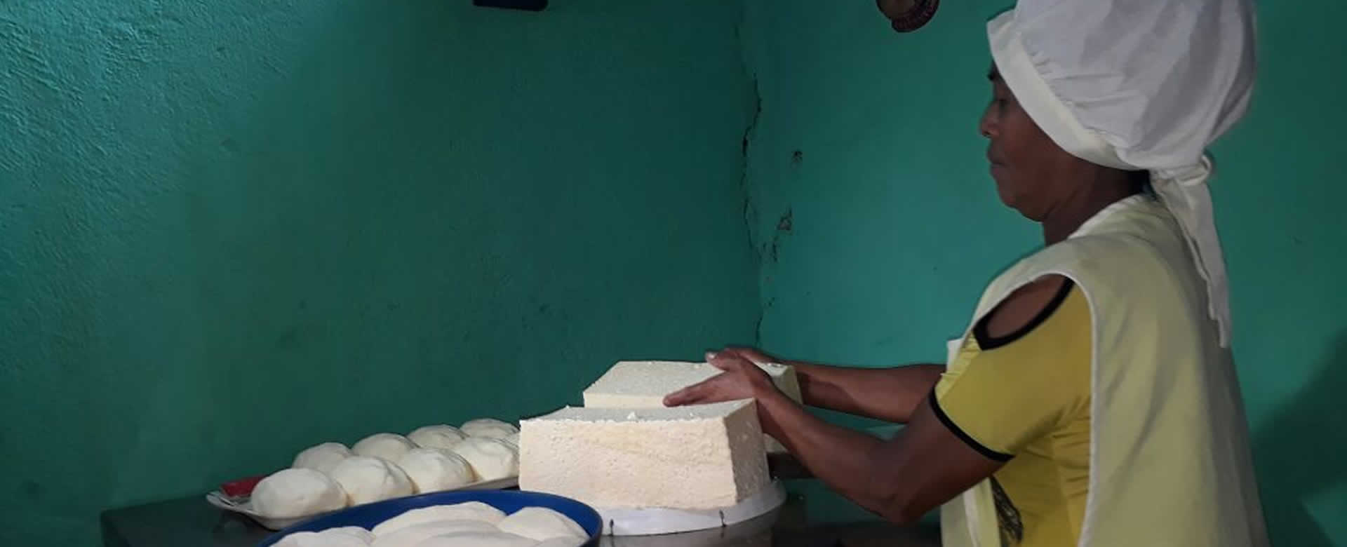 Mujeres de Telpaneca emprenden negocios de lácteos