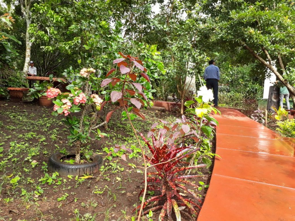 Jinotepe cuenta con un hermoso parque natural Viva Nicaragua Canal 13