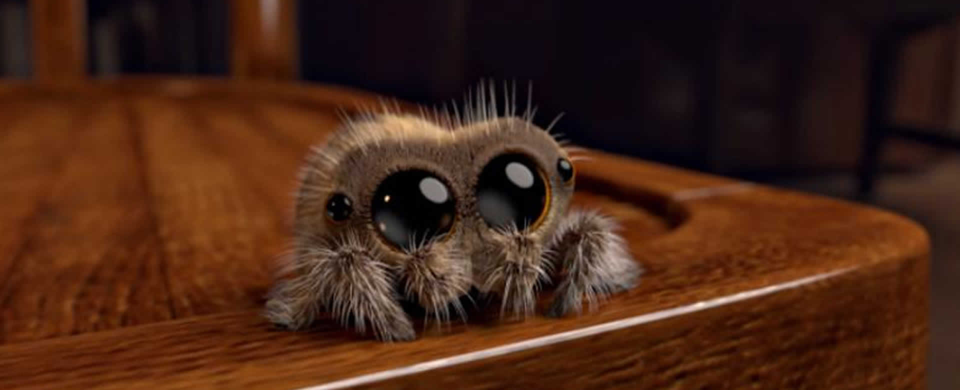 Lucas, la araña animada que con sus brillantes ojos promete encartarte