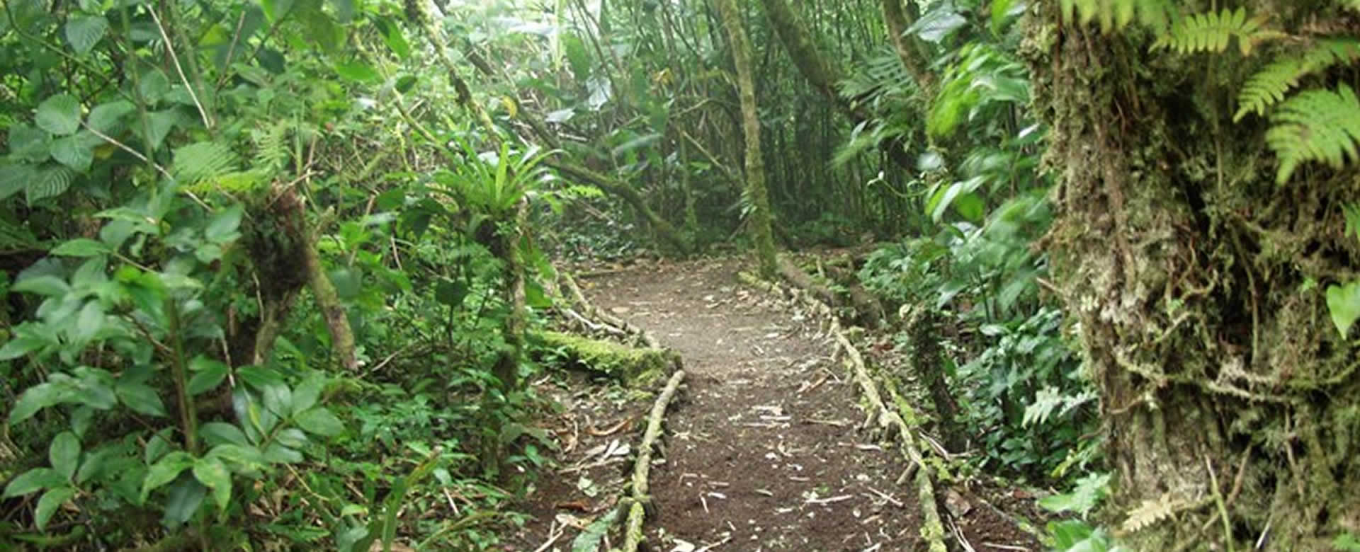 Reserva Natural Volcán Mombacho, la mejor opción para hacer senderismo