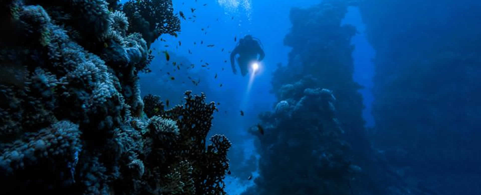¿Qué tan profundo conoce el ser humano bajo el océano?