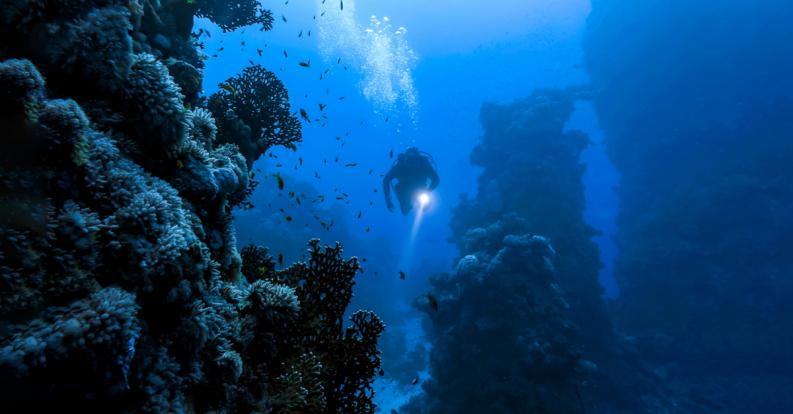 ¿Qué tan profundo conoce el ser humano bajo el océano?