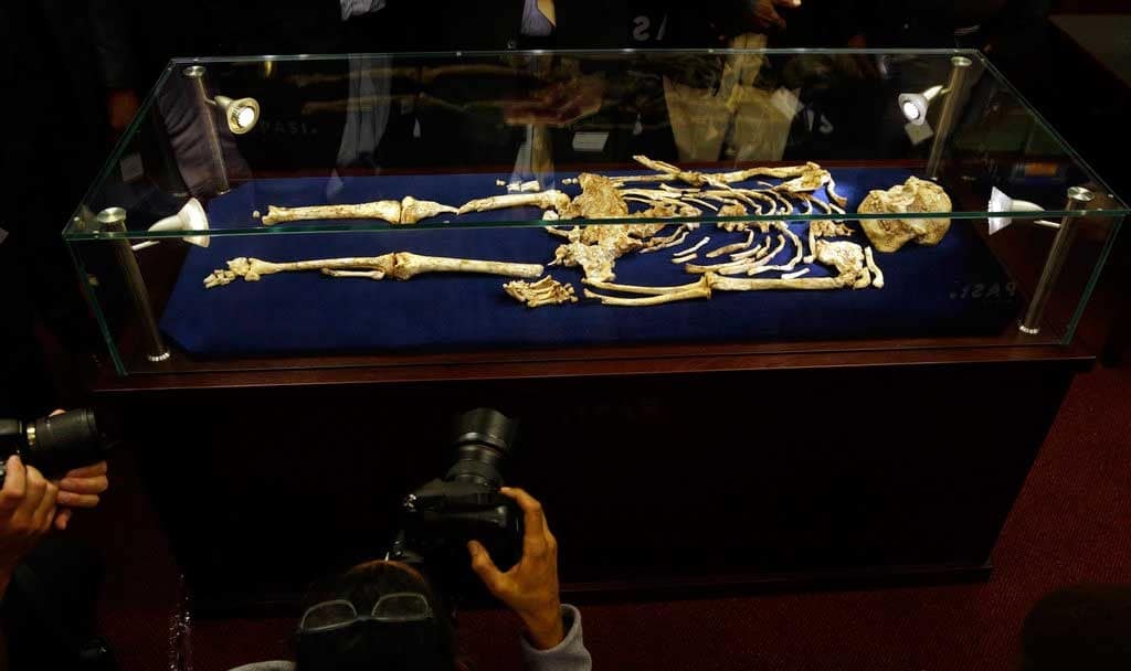 Encuentran un esqueleto humano de hace 3,5 millones de años en una cueva en Sudáfrica