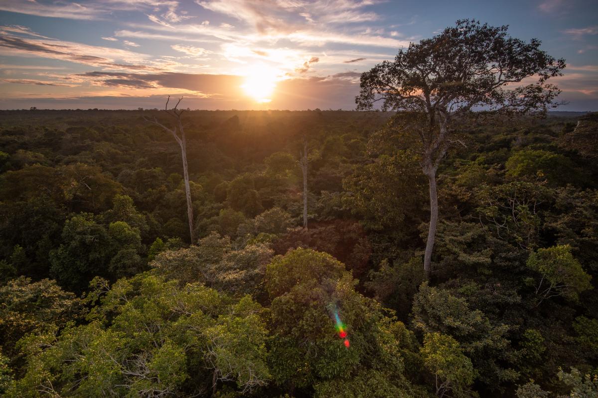 El amazonas, más que un selva oscura y peligrosa