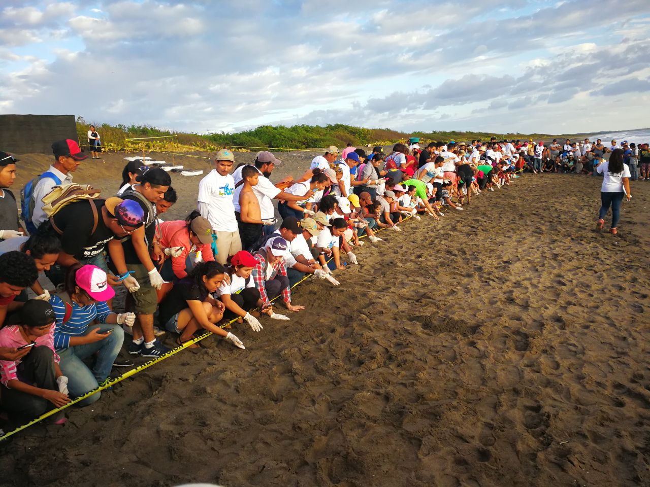 Más de 200 tortuguillos se despiden de Playa Salaminas, Villa El Carmen 