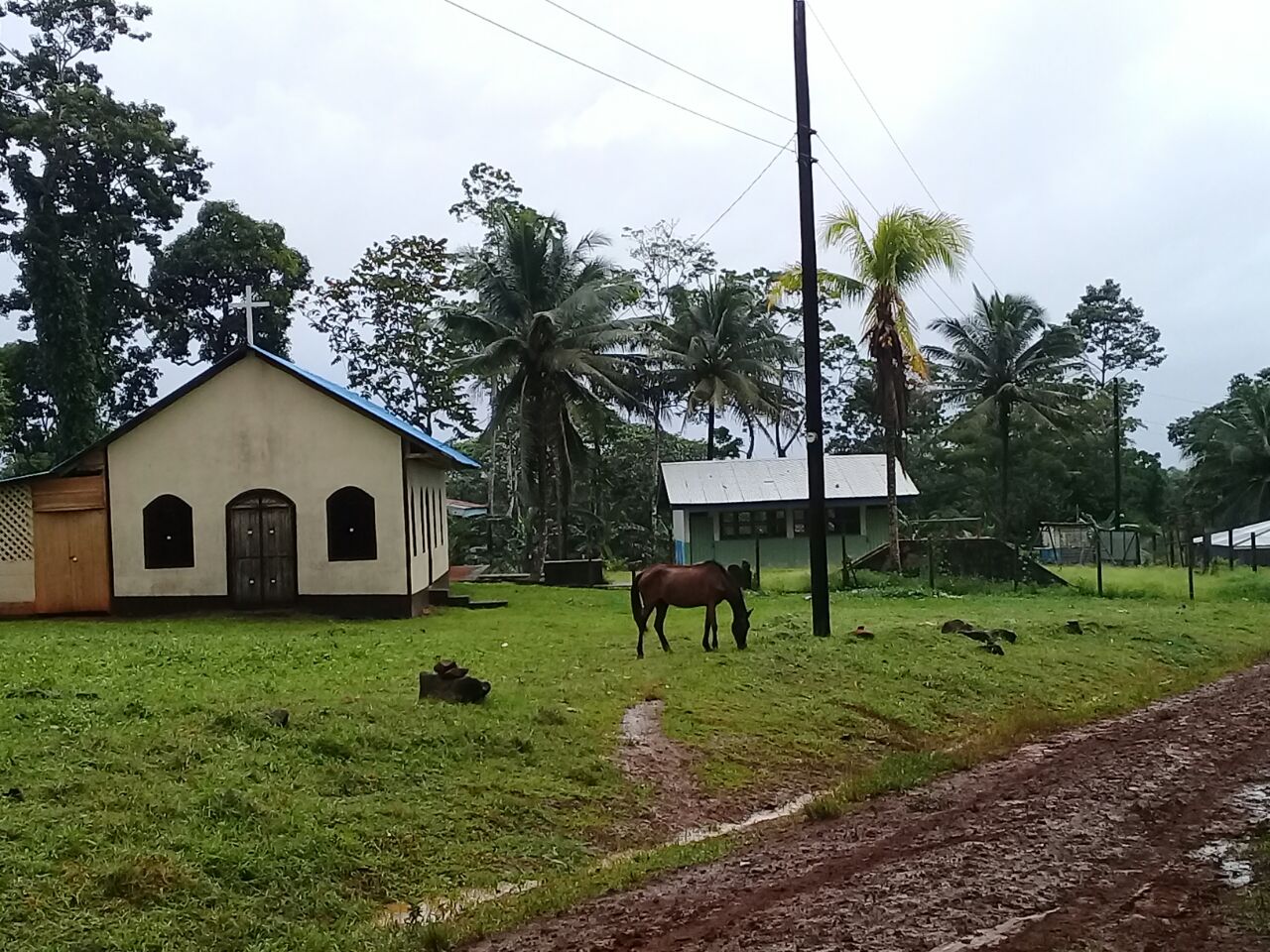 Reconocida partera de Kukra Hill, ejemplo vivo de servicio comunitario