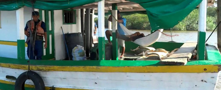 Tercera captura: Se recuperan 17 tortugas en aguas del Caribe Sur