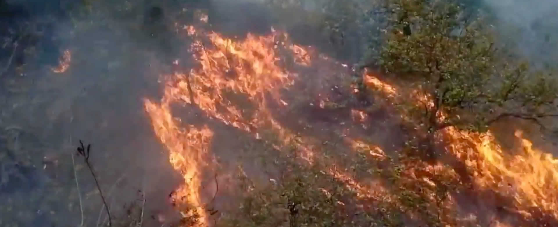 Incendio arrasa con bosques de Dipilto