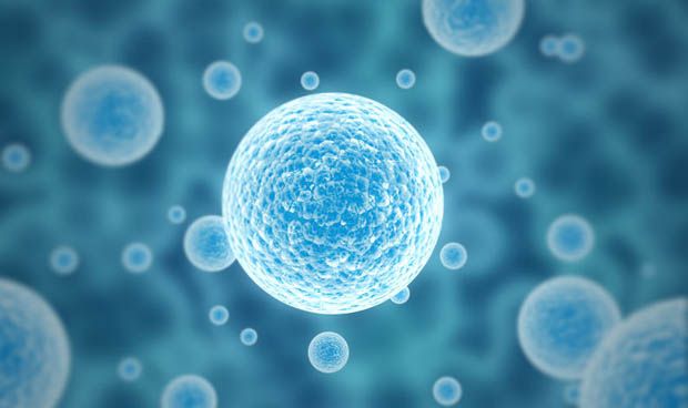 Científicos australianos identifican nueva estructura de ADN en células humanas vivas