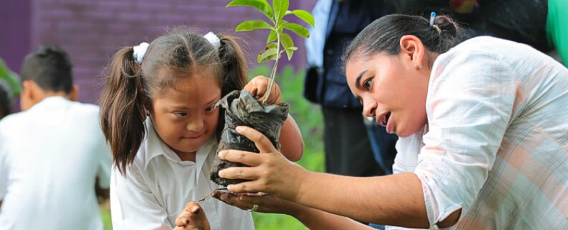 Movimiento Guardabarranco y niños del Melania Morales participan en jornada de reforestación