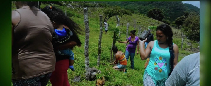 MARENA e INAFOR lanzarán Jornada Nacional de Reforestación