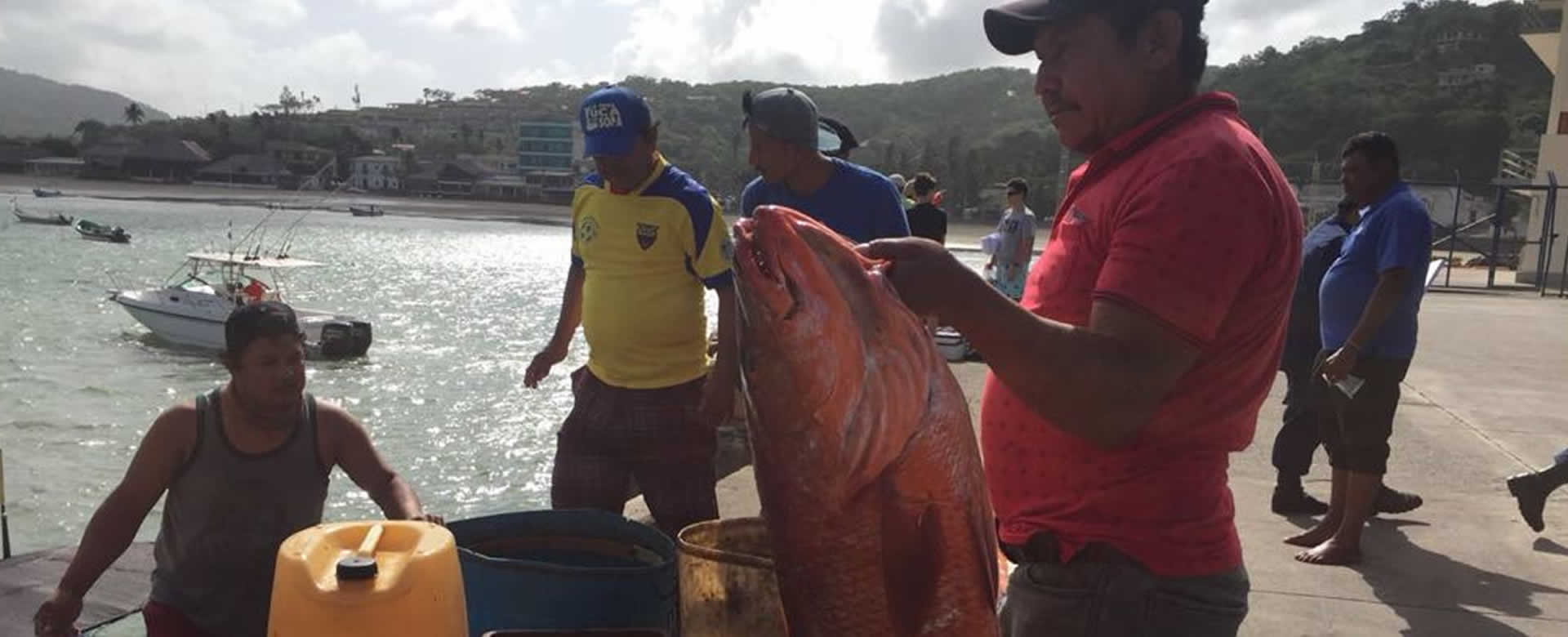 Acopio de pescado en San Juan del Sur mantiene su normalidad