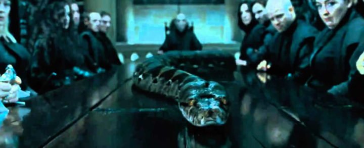 J.K. Rowling revela el origen de Nagini, la serpiente de Voldemort