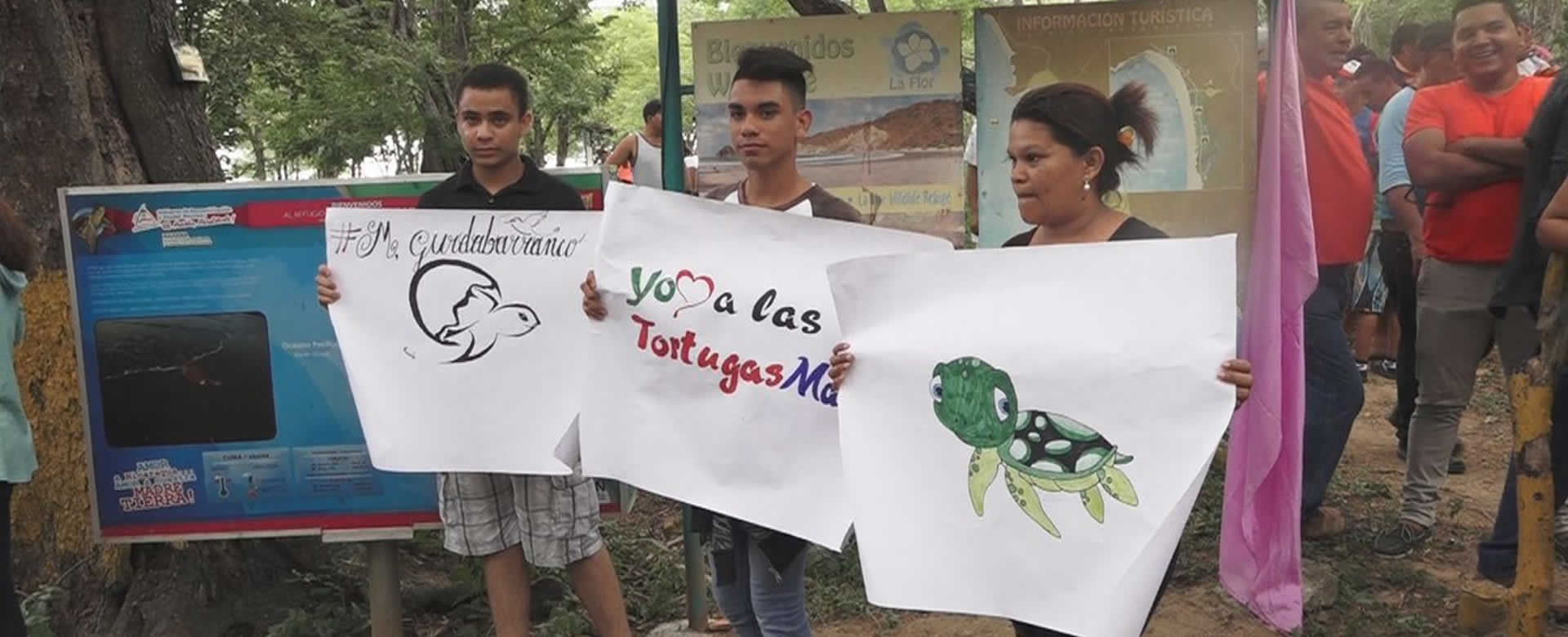 MARENA realiza lanzamiento de la campaña “Protejamos a las Tortugas Marinas”