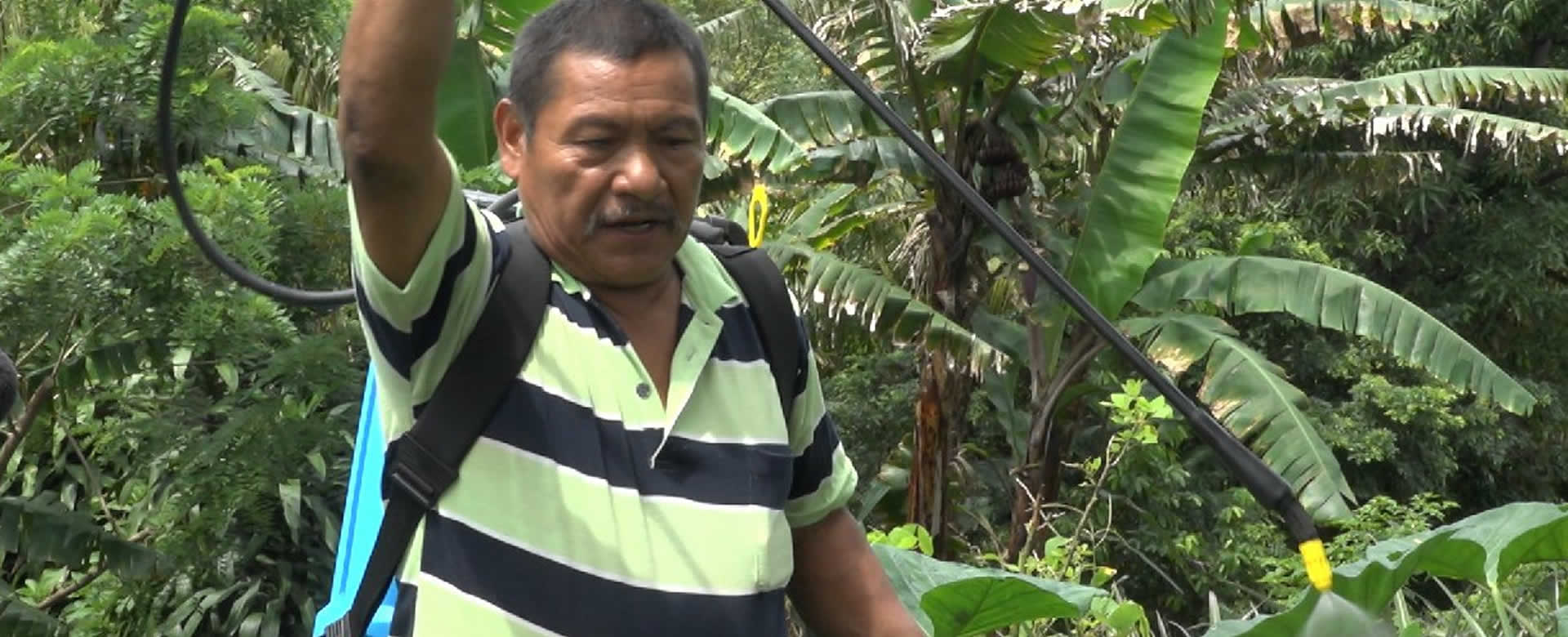 Productores de Ticuantepe aumentan la calidad y capacidad productiva de los cultivos