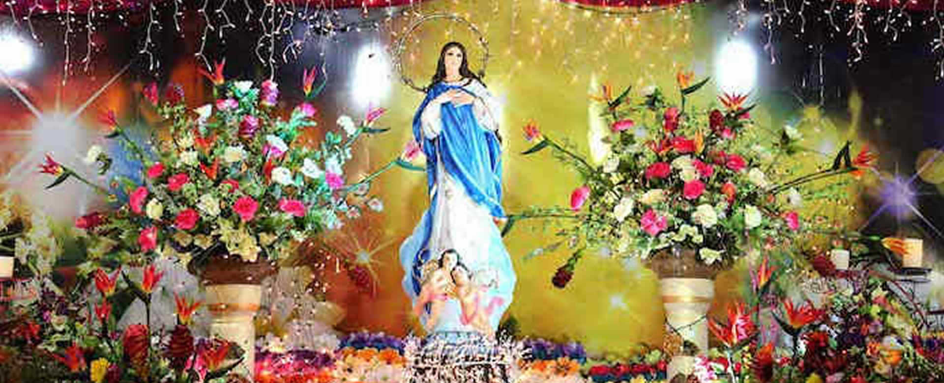 Familias boaqueñas continúan rezando la novena a la Concepción de María