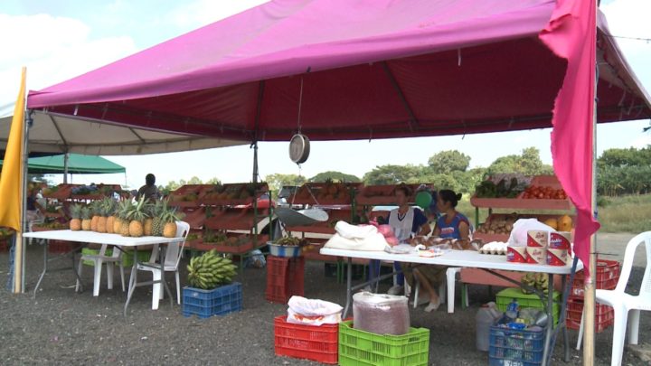 Comerciantes del mercado campesino ofertan sus productos a precio solidario 
