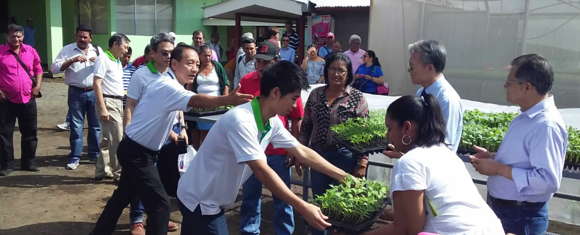 Misión China - Taiwán y pequeños productores inauguran invernadero de plántulas de frutas y hortaliza
