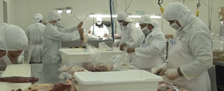 Aumenta producción de carne bovina en Nicaragua