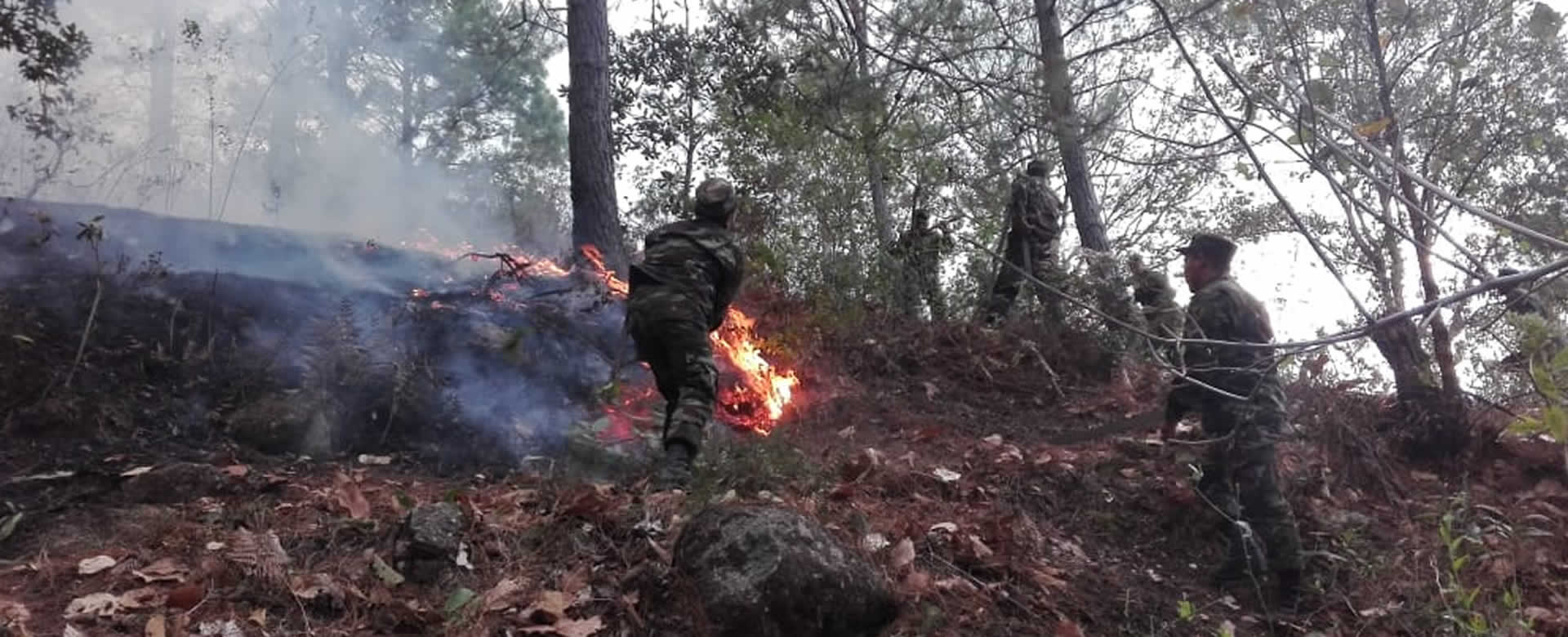 Brigadistas sofocan incendio forestal en una comunidad de Somoto