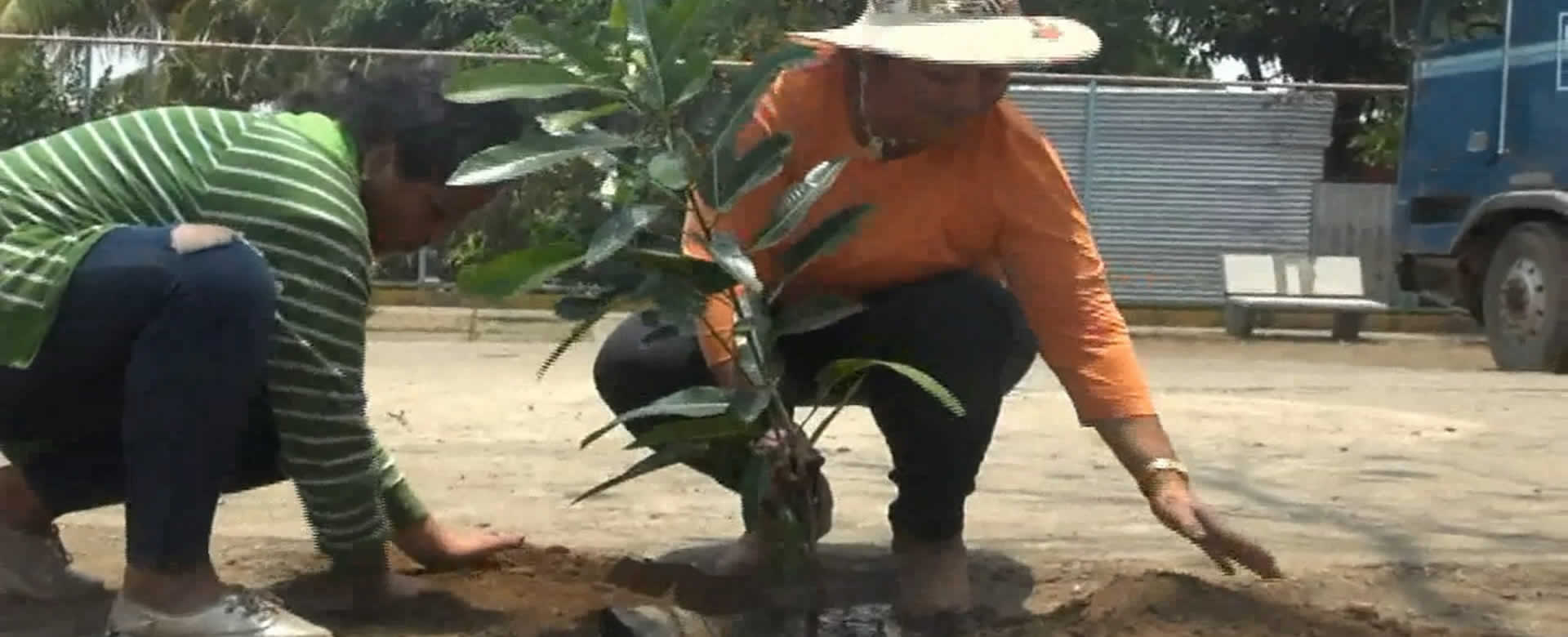 Managua: En Villa El Carmen se realiza jornada de reforestación con amor al municipio
