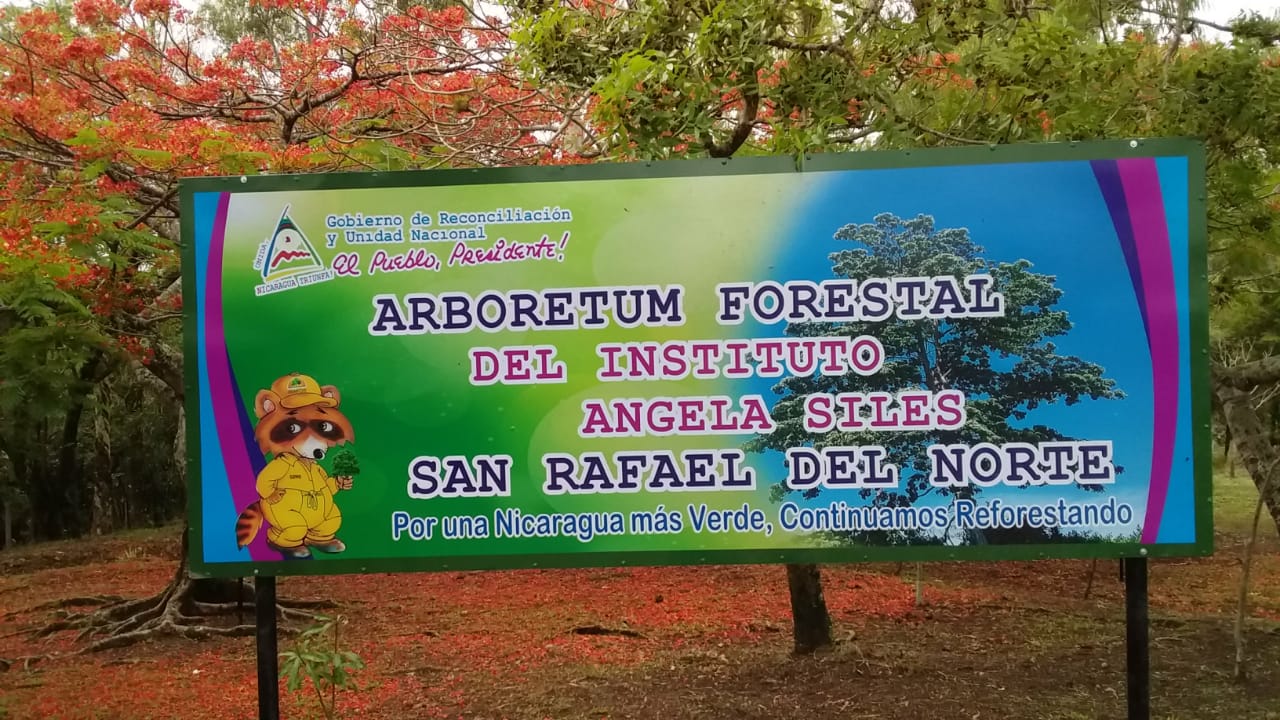 San Rafael del Norte inauguró un nuevo Arboretum Forestal