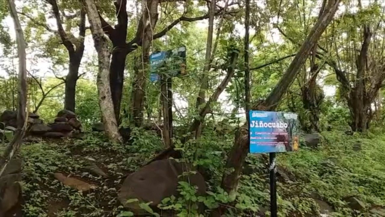 FAREM Estelí cuenta con nuevo arboretum 