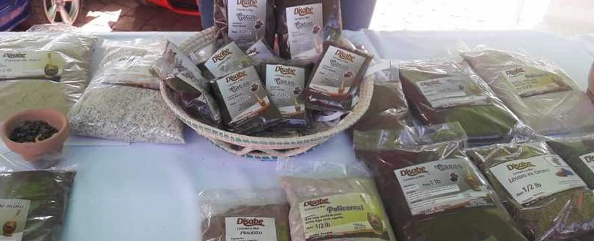 Realizan Feria Nacional del Cacao en la Plaza de la Revolución
