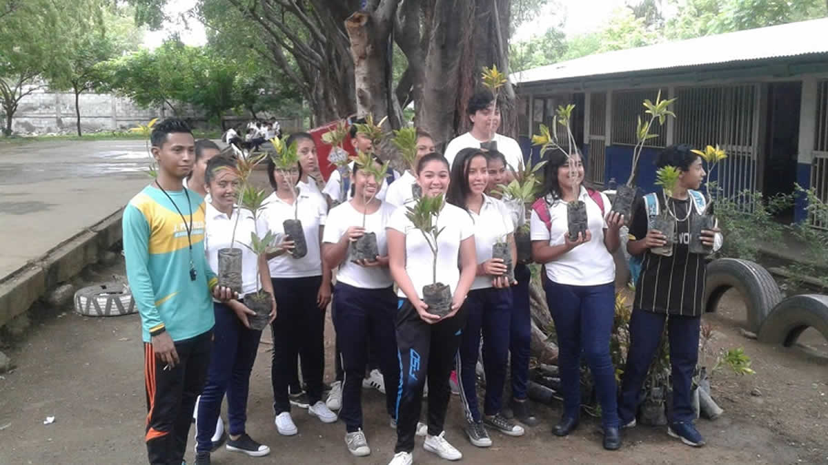 Estudiantes del Colegio Fernando Gordillo realizan jornada de reforestación 