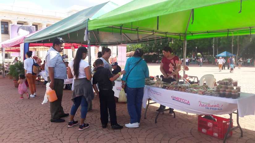 Realizan Feria Nacional del Cacao en la Plaza de la Revolución