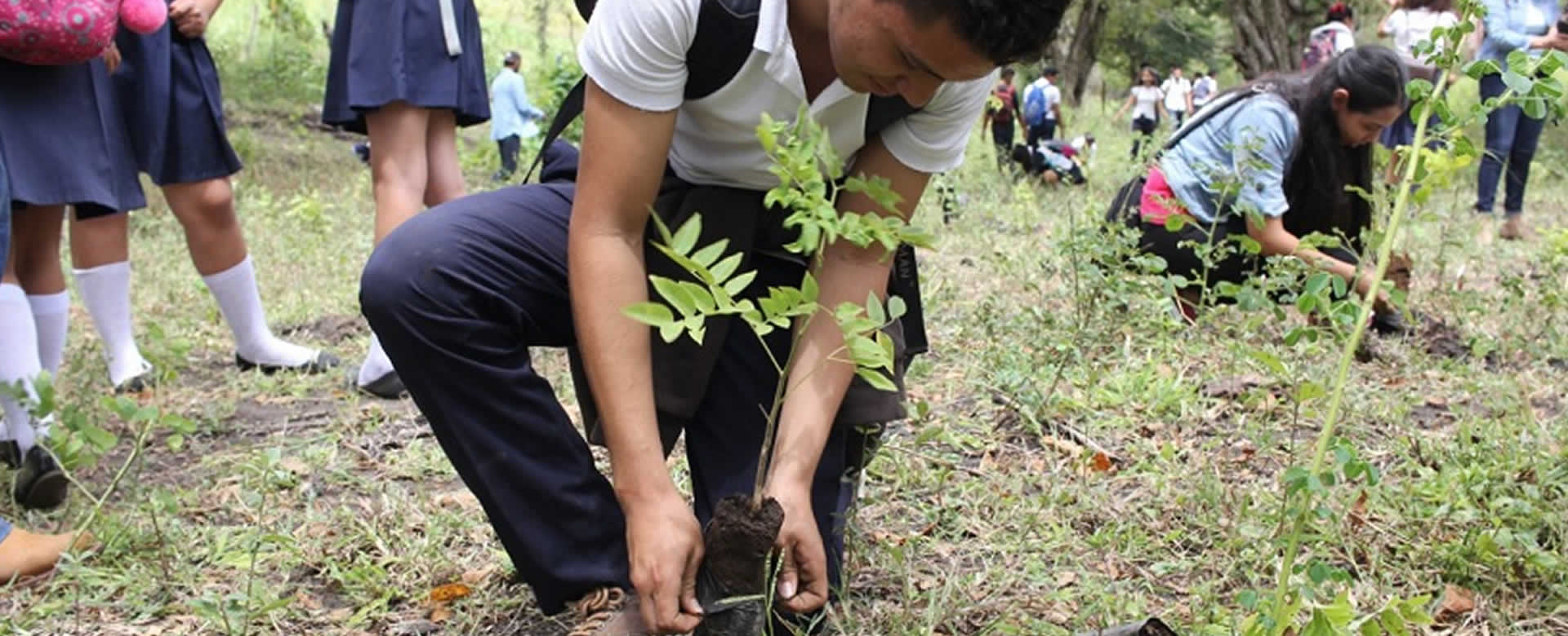 Madriz aporta al cuido del medio ambiente con jornadas de reforestación 