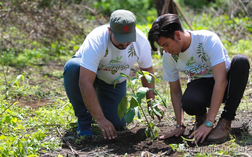 Madriz aporta al cuido del medio ambiente con jornadas de reforestación 