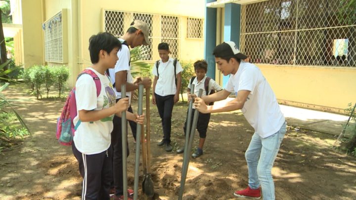 Estudiantes  jornada reforestación tierra