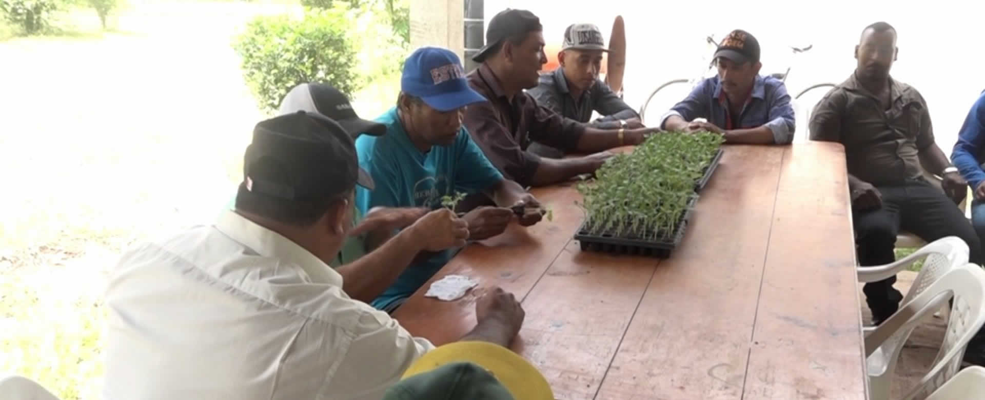 INTA acompaña a productores de hortalizas en la zona norte de Nicaragua