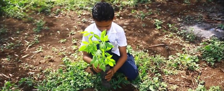 Nicaragua se prepara para celebrar el Día Mundial del Medio Ambiente