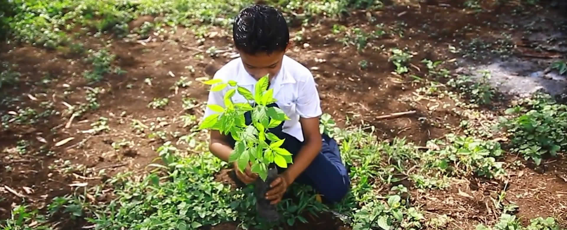 Nicaragua se prepara para celebrar el Día Mundial del Medio Ambiente