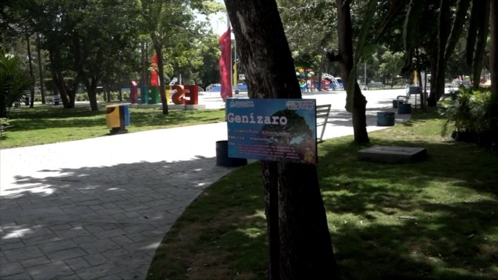 Estelí convierte uno de sus parques en un nuevo Arboretum
